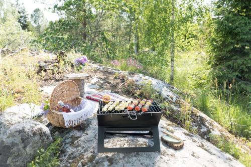 Piknik ja mukana kulkeva kannettava grilli